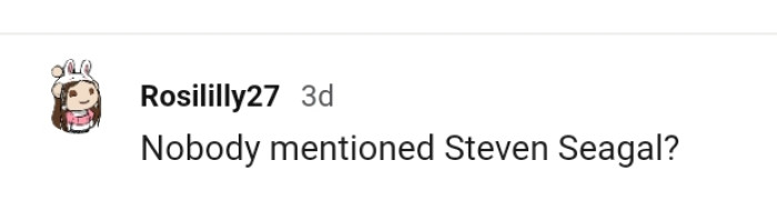 2. For this Redditor, it's Steven Seagal