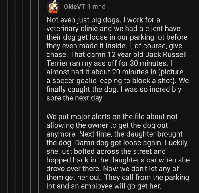 It can be extremely difficult to catch a dog if they don't want to be caught.