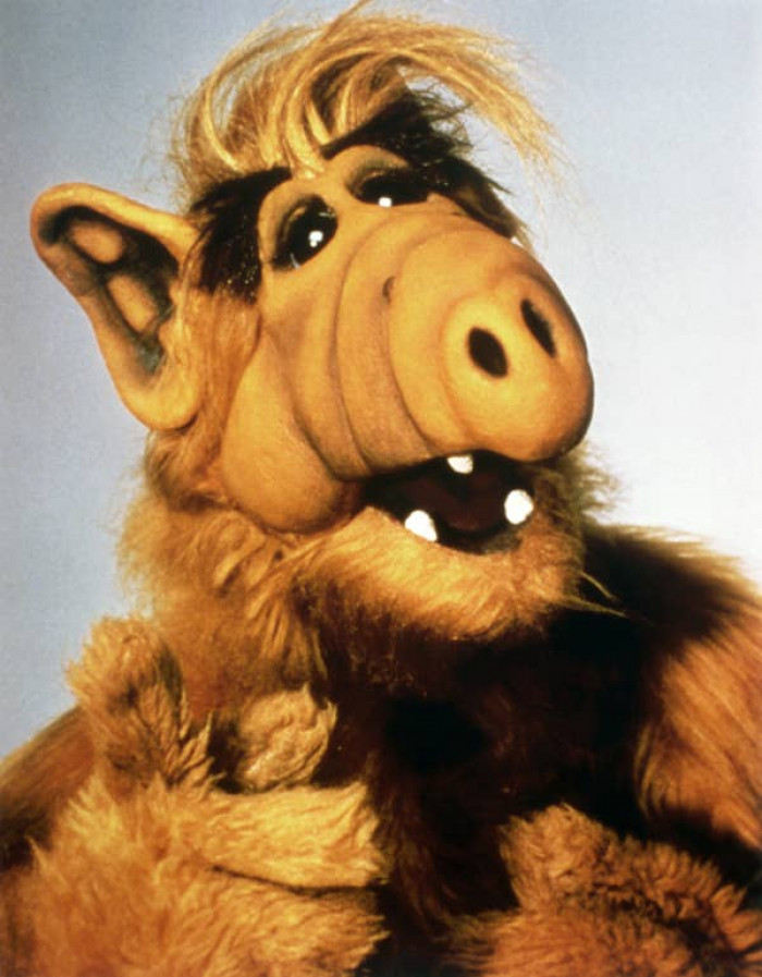 40. The fact that you found Alf to be simultaneously hilarious and terrifying: