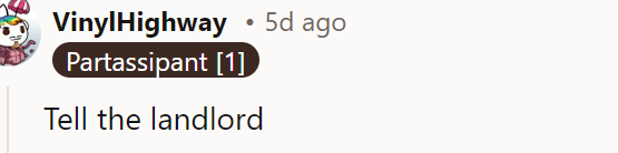 The OP should inform the landlord