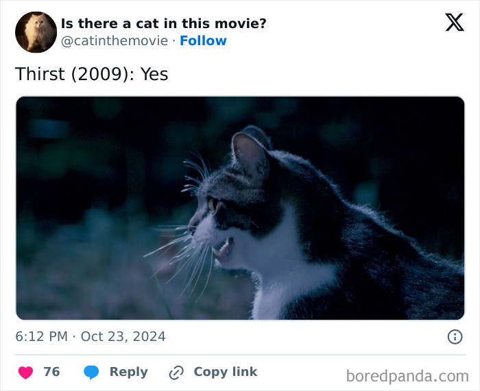 Movie list featuring Practical Magic, Don’t Look Now, Arsenic and Old Lace