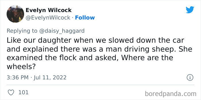 27. Sheep with no wheels