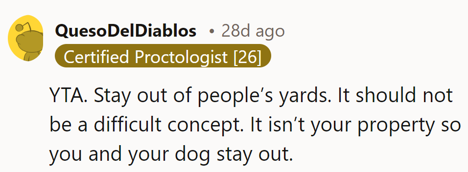 They're in the wrong; leash the dog's urges and keep off the grassy trespass!