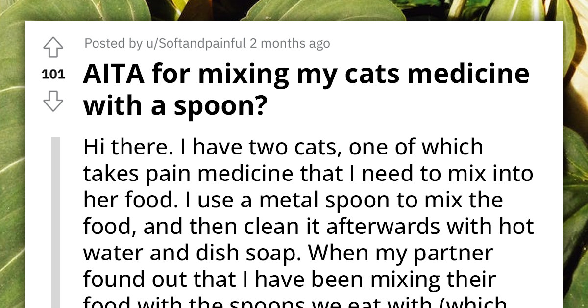 Boyfriend Accuses Girlfriend of Trying to Poison Him by Using Their Metal Spoon to Mix Cat Food