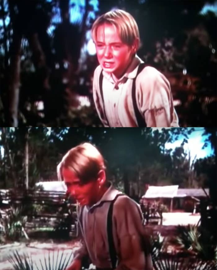 10. When Jody is forced to kill the deer he had come to love so much in The Yearling