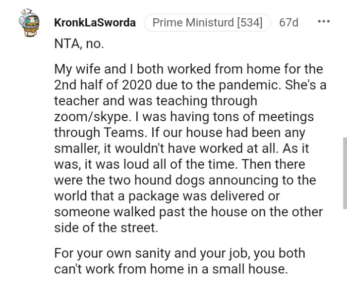 From a Redditor whose wife and he both worked from home due to the pandemic