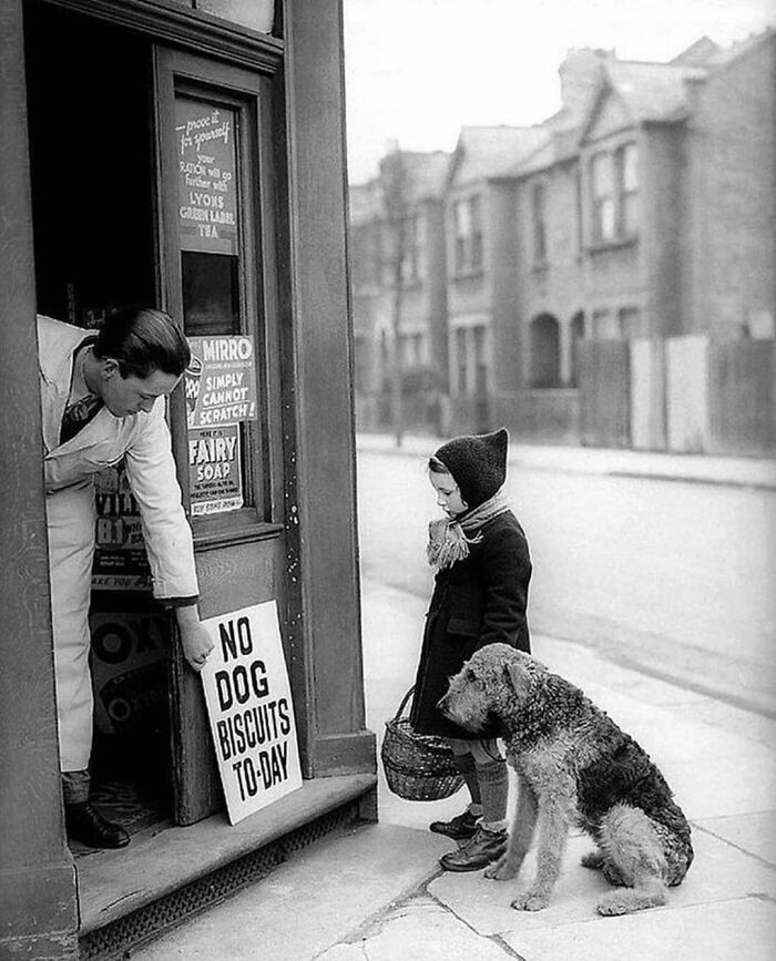 No dog biscuits today. London, UK, 1939.