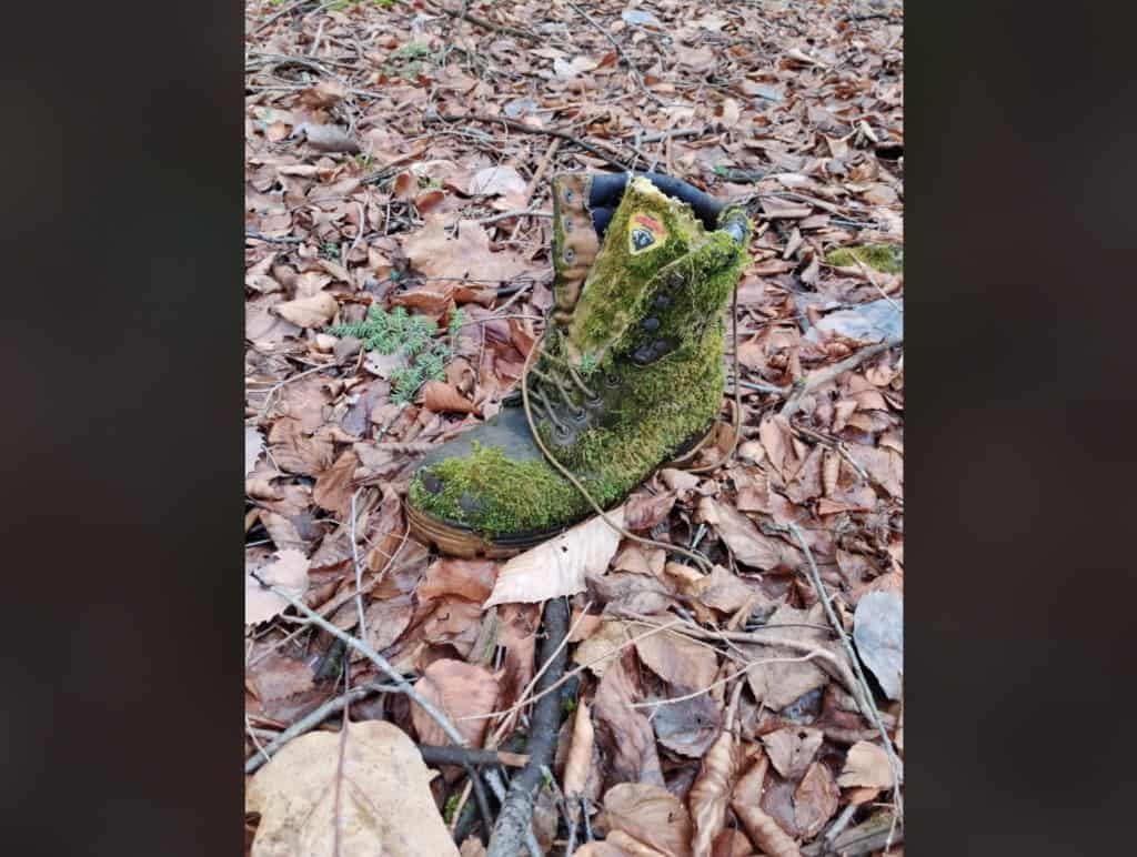 27. “This boot I found in the woods is being reclaimed by nature.”