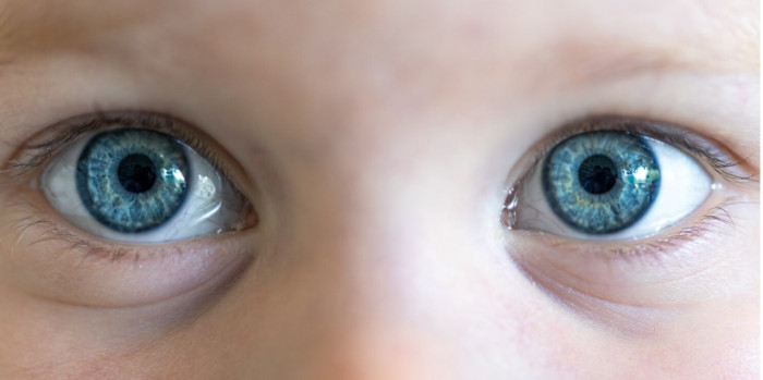 Ancient Mutation Reveals a Shared Human Past