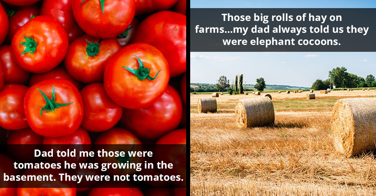 51 Grown-Ups Share the Most Hilariously Weird Fibs They Believed As Kids