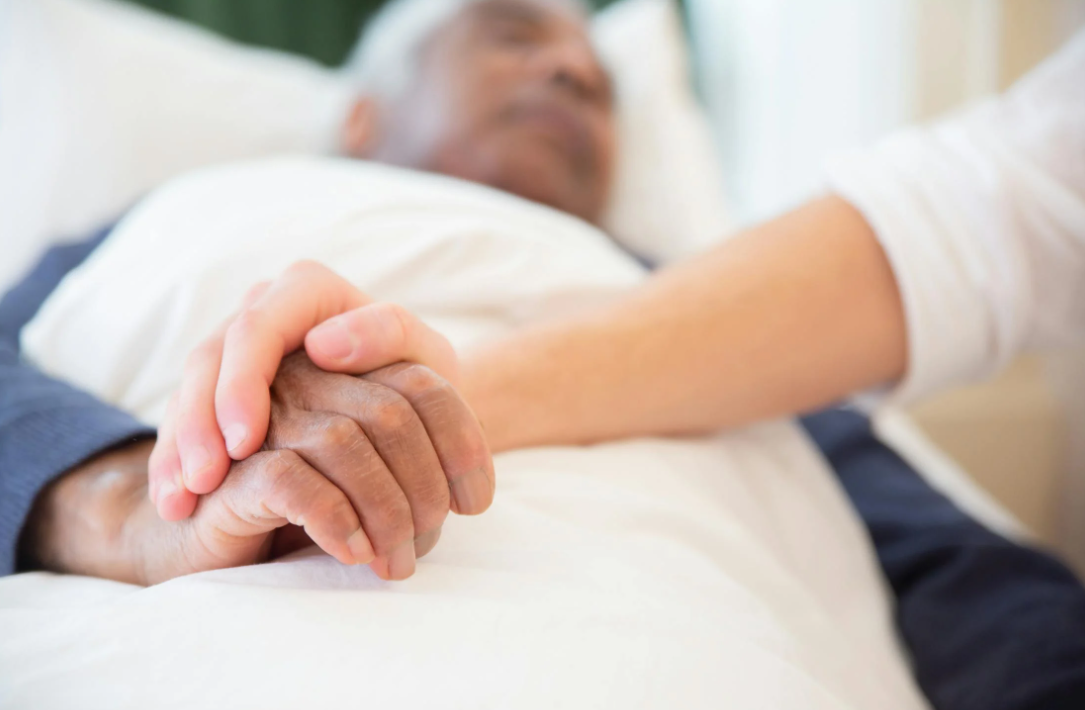 Screwworm flies pose deadly risks by laying eggs in even the smallest wounds of animals and newborns.