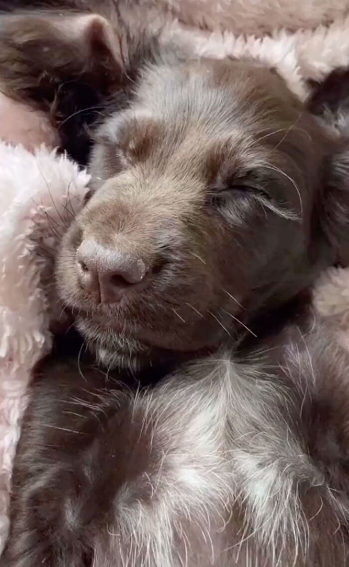 The eyelashes that made her famous.