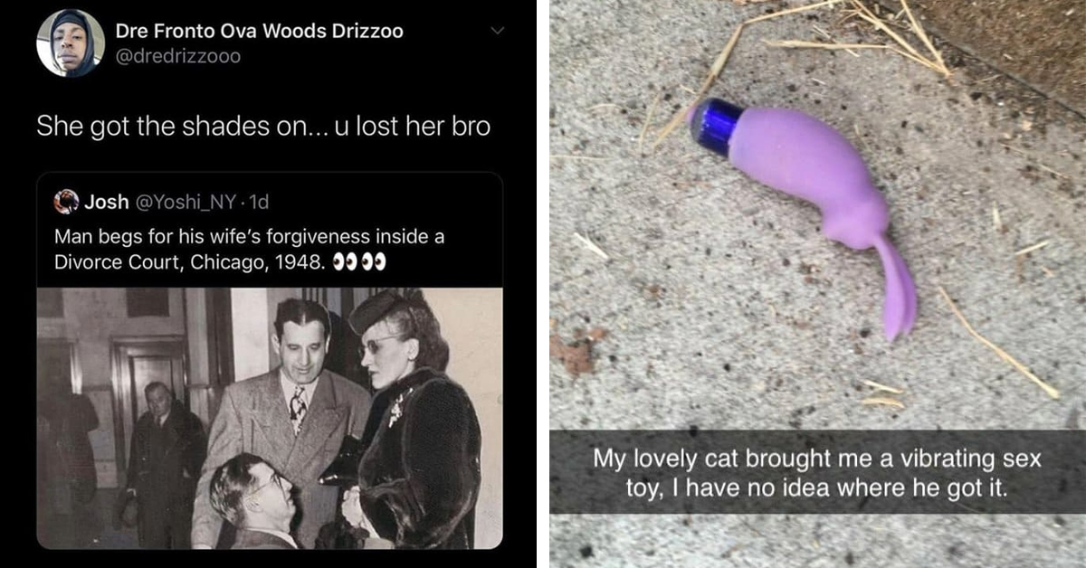 21 Must-See Hilarious Photos Guaranteed to Brighten Your Day