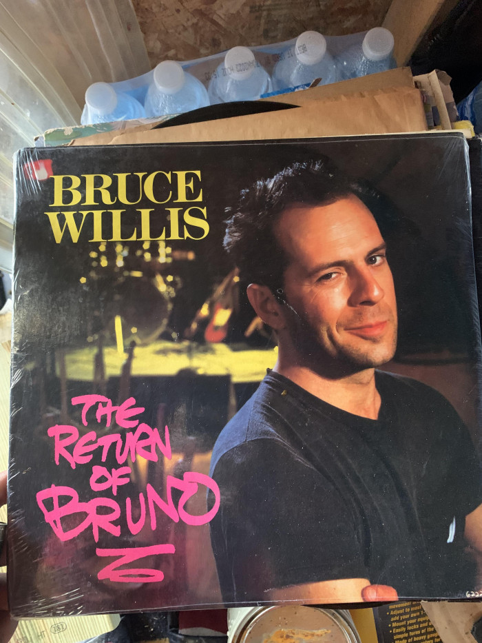 2. Bruce Willis was a musician before he became known as an action movie star.