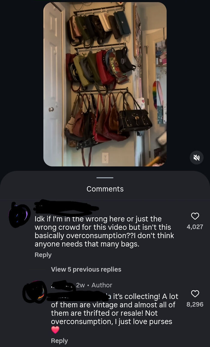 "Influencer Claiming That Having 30 Bags/Purses Isn't Overconsumption Because It's "Collecting" And They're "Mostly Secondhand"