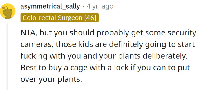 A Redditor advised them to get security cameras
