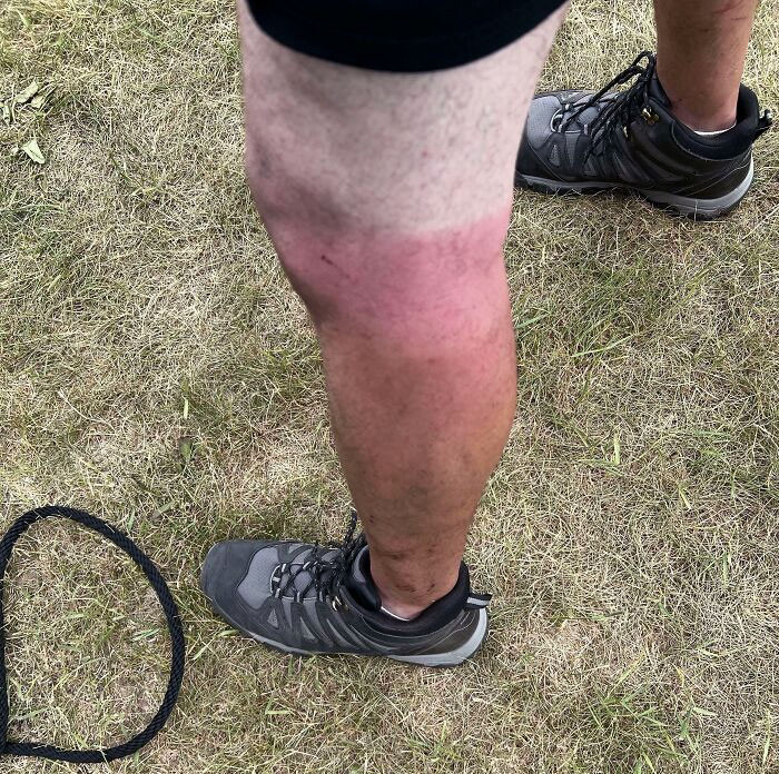 13. Is this how a Neapolitan ice cream looks?