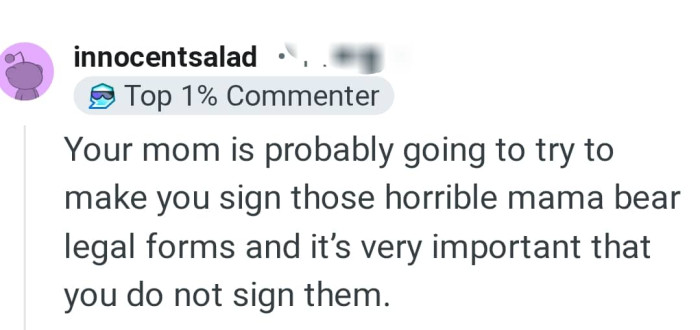 Mama bear legal forms