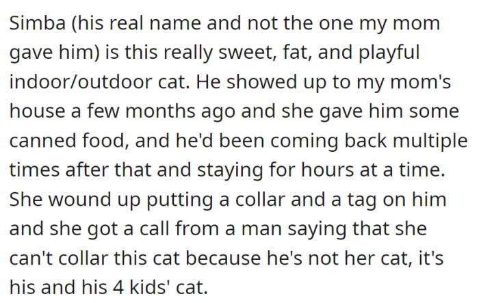 A friendly cat named Simba turned up at her mom's place, becoming a frequent visitor, but after she collared him, a man called, claiming the cat belonged to his four children, not to her.