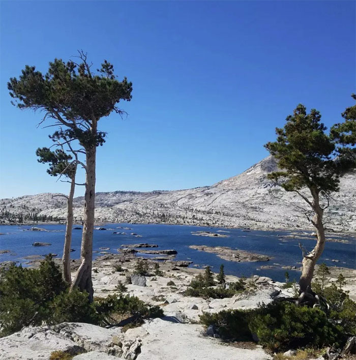 Tahoe Rim Trail, U. S. - 165 Miles