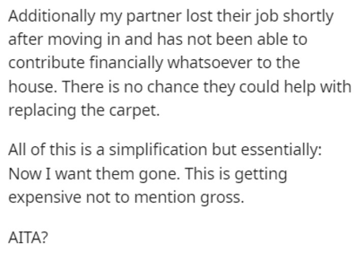 The partner lost their job after moving in, so they're not able to contribute financially