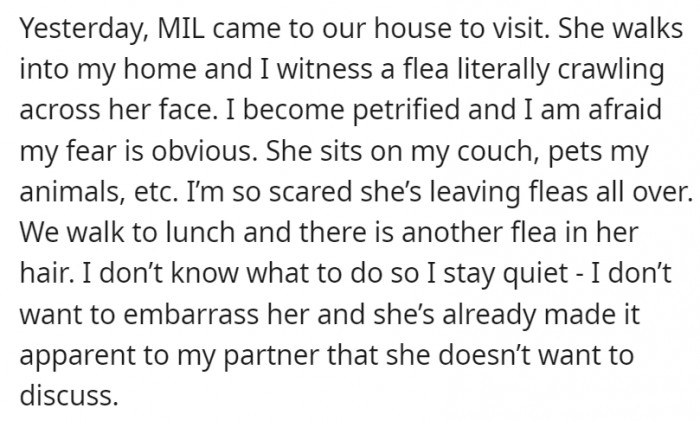 There were fleas all over MIL too