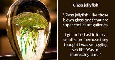 31 Experiences Of People Stopped By TSA Officers For Hilarious Reasons