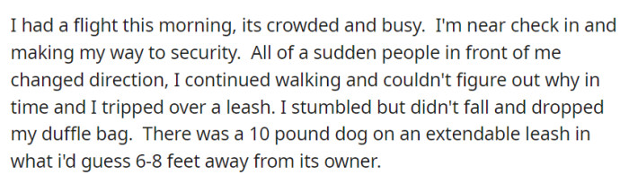 In a busy airport, OP rushed toward check-in and security, but a sudden change in the direction of where people were going led to a trip over the leash of a 10-pound dog.