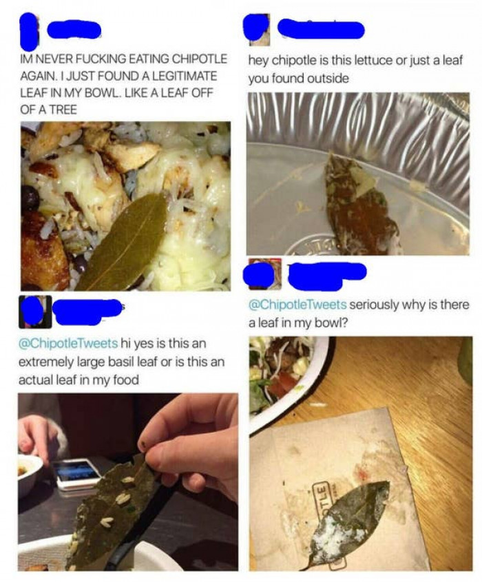 7. What is this leaf doing here?