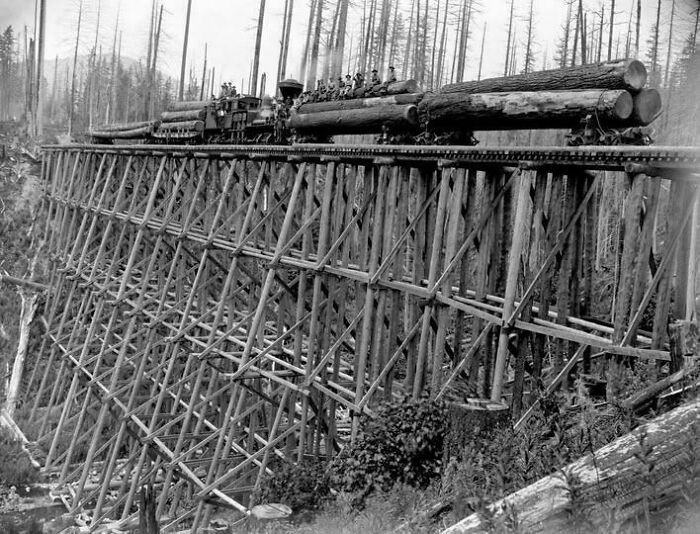 "A 100-Foot Trestle Built In Washington In 1906 To Haul Logs After A Forest Fire - traces Of These Structures Still Remain In The Pacific Northwest Forests."