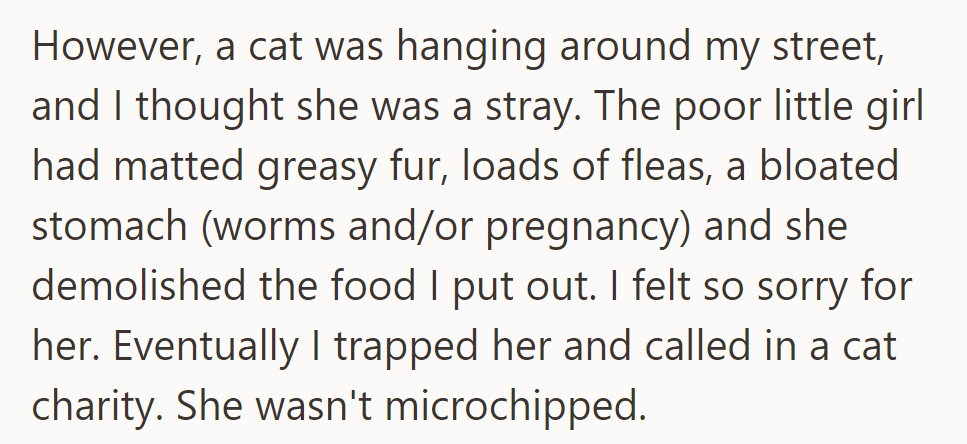 A stray cat with matted fur and fleas appeared. She was trapped, and a cat charity was contacted.