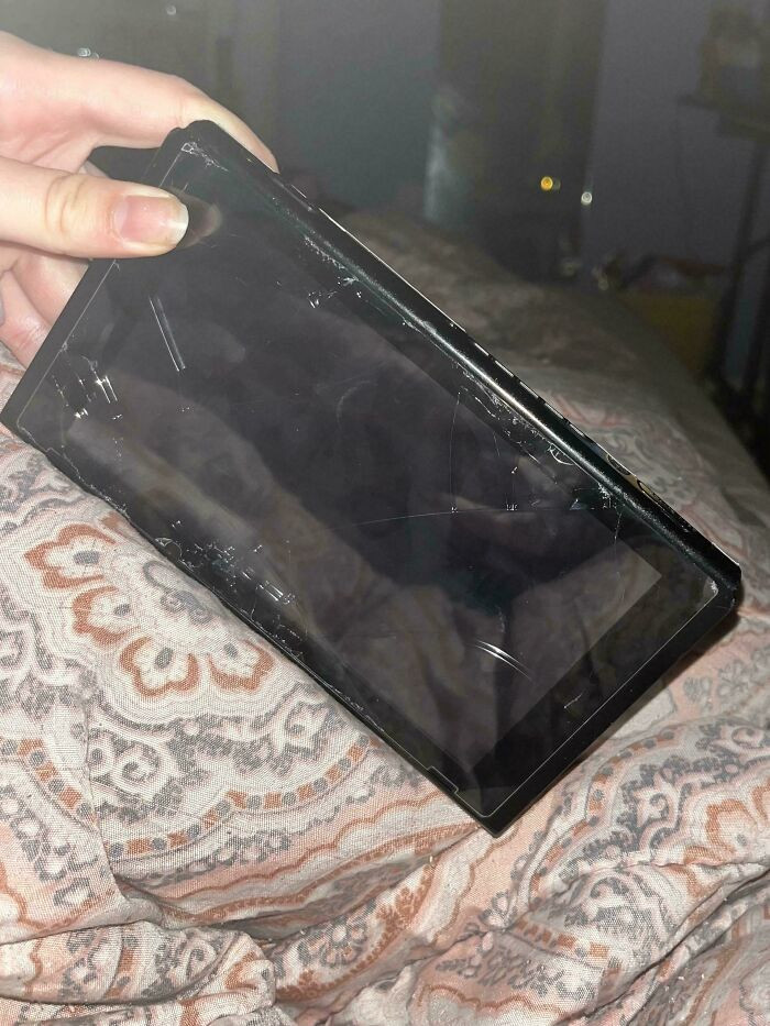 "My Boyfriend Put My Nintendo Switch Through The Washing Machine"