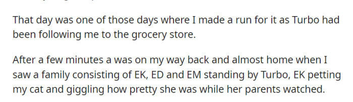 While rushing to the grocery store to escape their clingy cat Turbo, OP returned home to find an entitled family with EK, ED, and EM admiring their beloved feline friend.