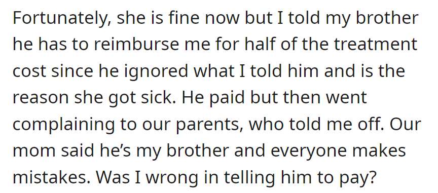 The cat got sick from the brother's chocolate, and OP asked for payment. Their parents sided with the brother, and now OP is unsure if it was wrong.