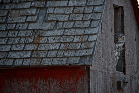 Nature wasted no time and swiftly started reclaiming the land.