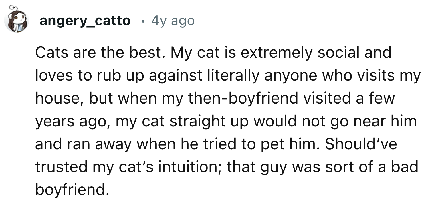 Their Cat Is Very Social And Loves To Cuddle