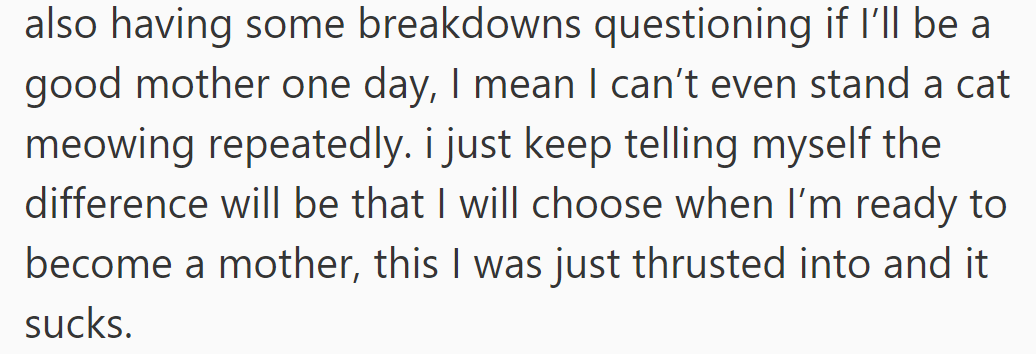 Dealing with cat issues raises doubts about readiness for motherhood, wanting to choose timing more intentionally.