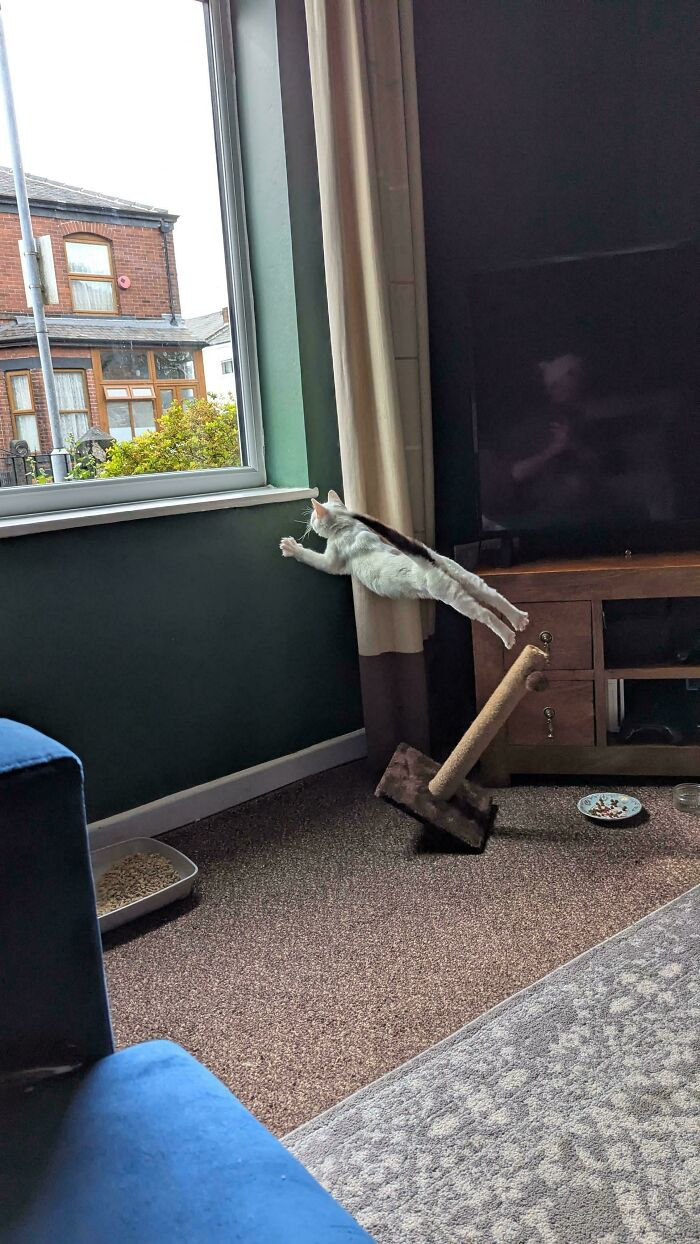 "Watson's First Flight Attempt"