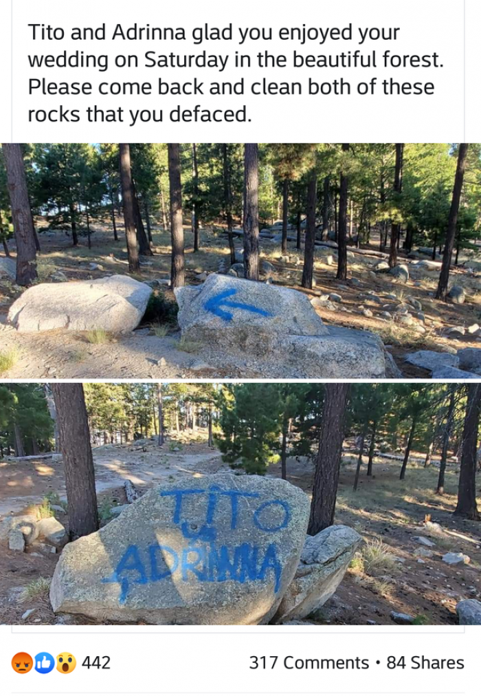 1. “Imagine having your wedding in a national forest, then vandalizing said forest.”