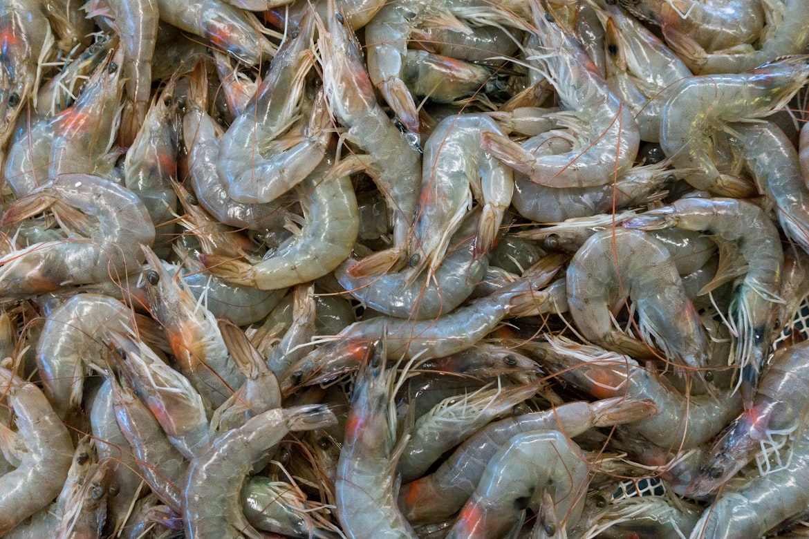 Shrimp Recall Sparks Concern After Discovery of Radioactive Contamination