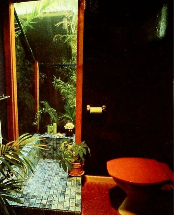"From 📚 'Beyond The Bath: A Dreamer's Guide' ©1983 By Thomas Cowan"
