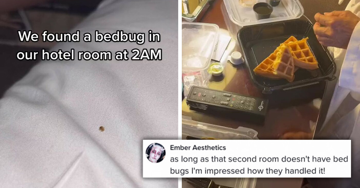 Woman Records Hotel's Actions After Discovering One Bedbug In Her Room