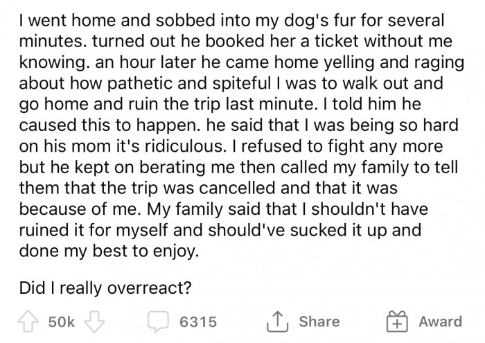 The husband accused OP of ruining their trip with her pettiness.