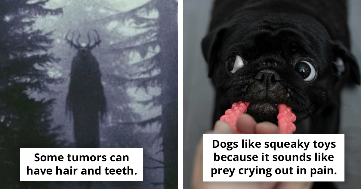 Here Are 30 Terrifying Facts That’ll Leave You Wishing You Never Read Them