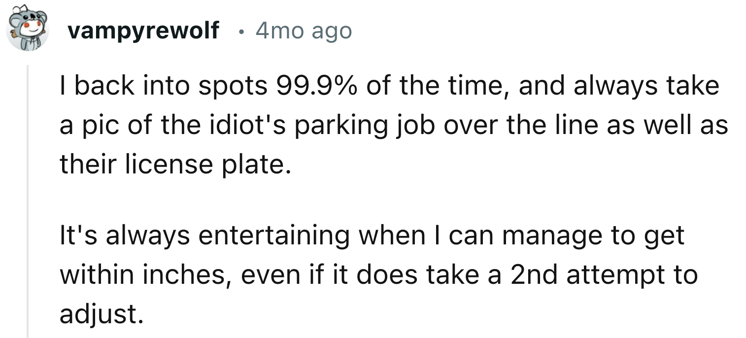 Taking Pictures Of Idiotic Parking Attempts