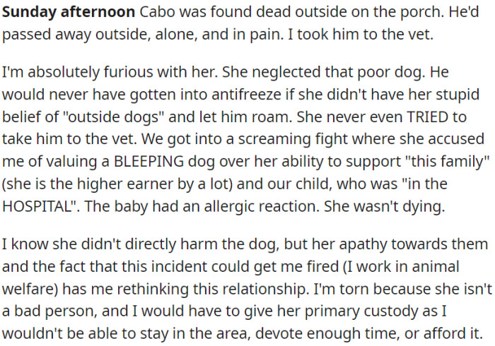 The dog died alone the next day, and in pain on the porch. OP blames his partner for her neglect and her belief in 