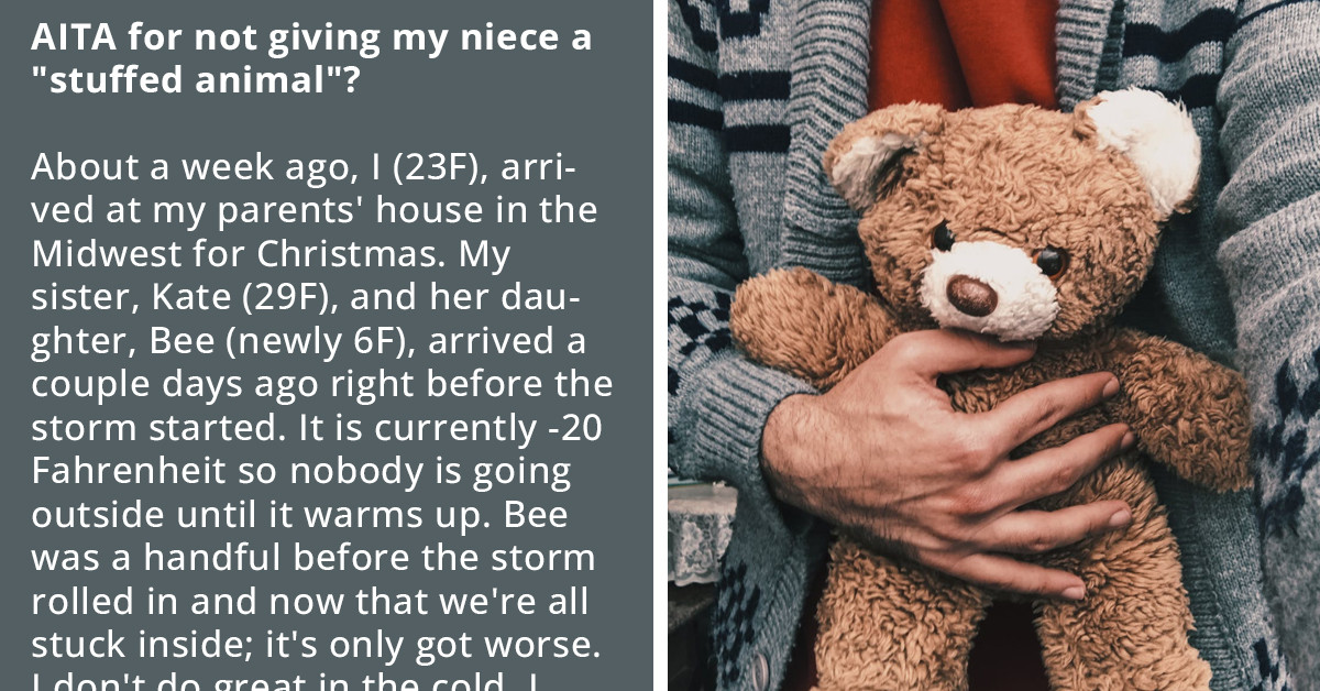 Redditor Refuses To Give Stuffed Dog To Her Niece Because She Uses It To Heat Her Arms, Kid Throws A Tantrum
