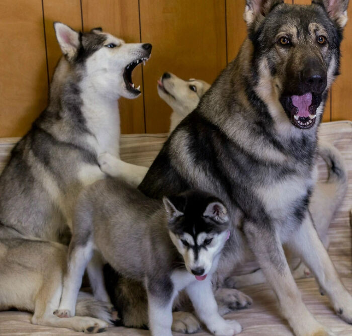 49. Tried To Take A Family Photo