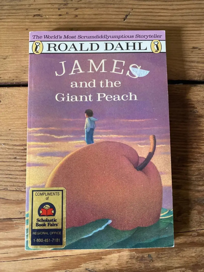 13. James and the Giant Peach with this soothing, minimalist cover