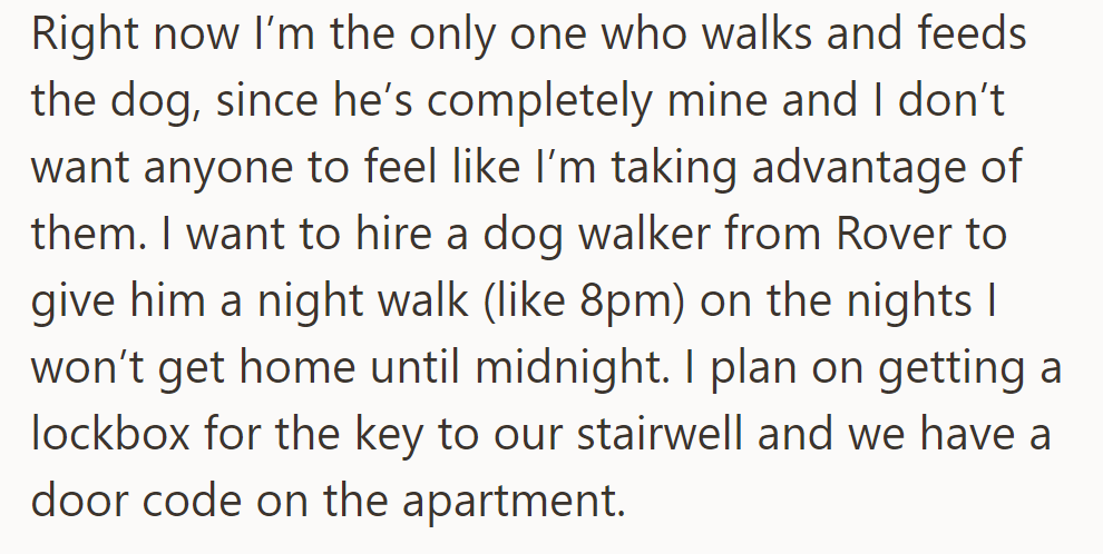 OP's planning to hire a Rover dog walker for night walks and will use a lockbox for the key.